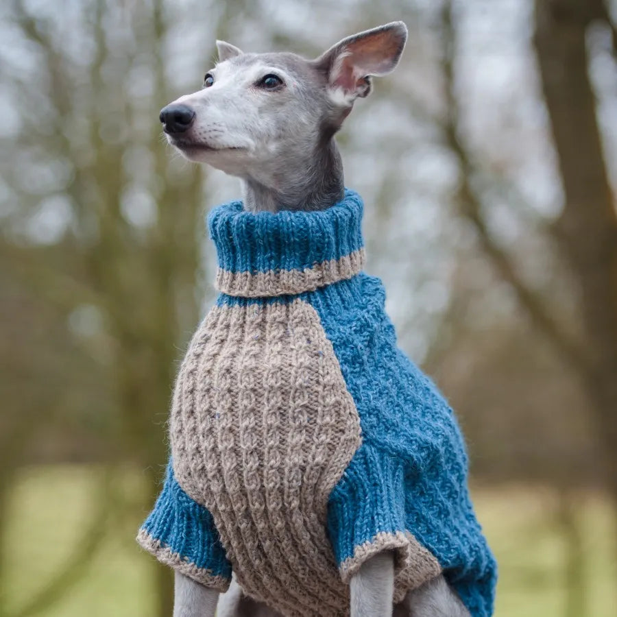 Dogs in Jumpers